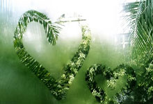 赛地聚焦——欧冠加时末段热度飙升，里昂绝杀压哨，赛场秩序良好，控场能力受关注的简单介绍-JBO官网